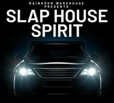 Mainroom Warehouse Slap House Spirit WAV MiDi Synth Presets